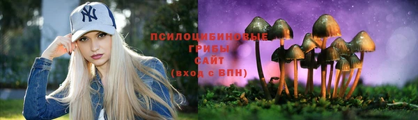 ГАЛЛЮЦИНОГЕННЫЕ ГРИБЫ Алексеевка