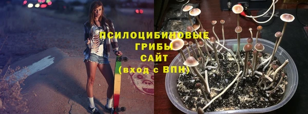 ГАЛЛЮЦИНОГЕННЫЕ ГРИБЫ Алексеевка
