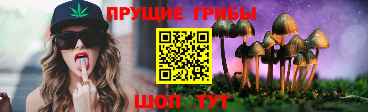 Псилоцибиновые грибы Psilocybine cubensis  Галлюциногенные грибы мухоморы  Владивосток  Вход с VPN 