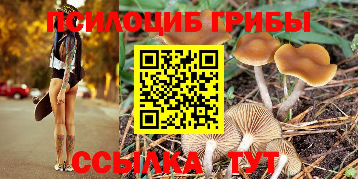 Псилоцибиновые грибы Psilocybine cubensis Владивосток